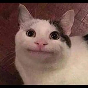 Meet your Posher, Anastasia